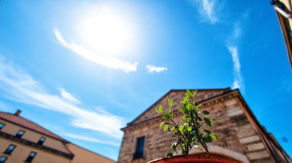 Top conseils pour choisir une assurance habitation à Montpellier